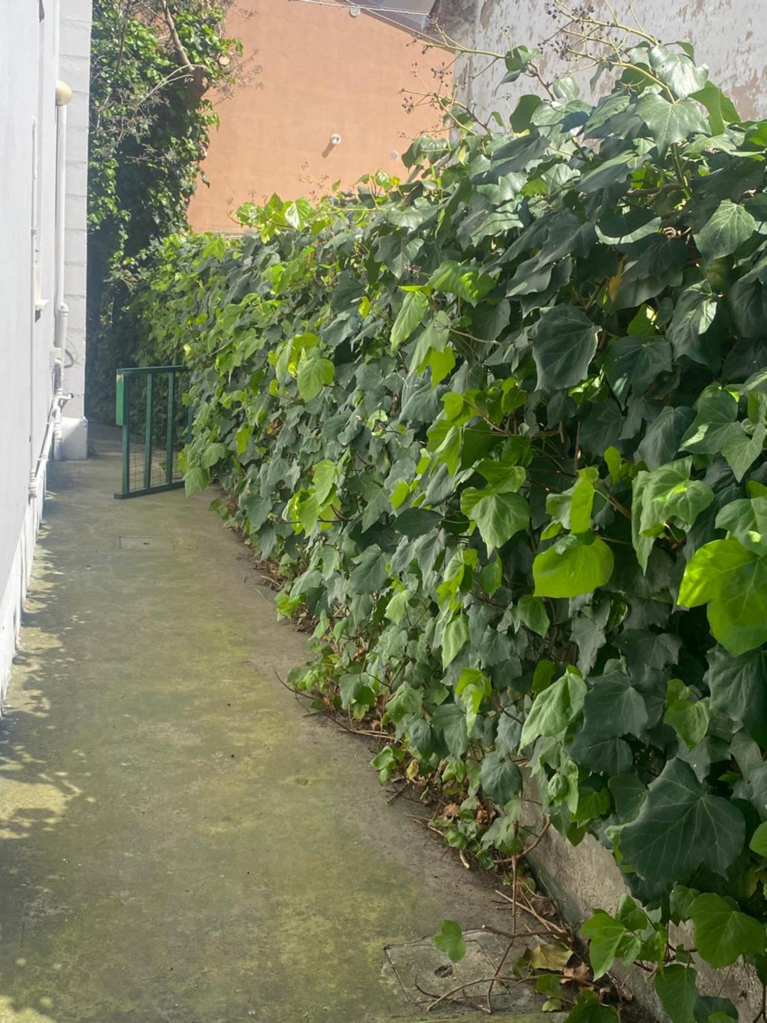Villa Casa Elisa 8 Bellaria-Igea Marina Esterno foto